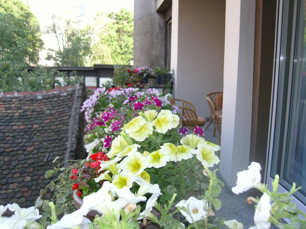 Apartment Deligradska Belgrado Buitenkant foto